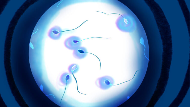A ‘guy-necologist’? Startups push semen analysis as male Pap smears A 'guy-necologist'? Startups push semen analysis as male Pap smears
