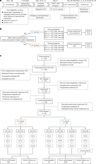 Hypoxia-responsive CEA-targeted CAR T cells in CEA-positive solid tumors through intraperitoneal or intravenous infusion: a phase 1 trial Hypoxia-responsive CEA-targeted CAR T cells in CEA-positive solid tumors through intraperitoneal or intravenous infusion: a phase 1 trial