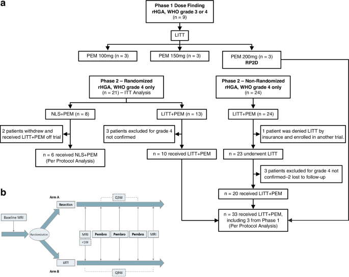 Laser interstitial thermal therapy and adjuvant pembrolizumab in recurrent high-grade astrocytoma: a Phase 1/randomized Phase 2b trial Laser interstitial thermal therapy and adjuvant pembrolizumab in recurrent high-grade astrocytoma: a Phase 1/randomized Phase 2b trial