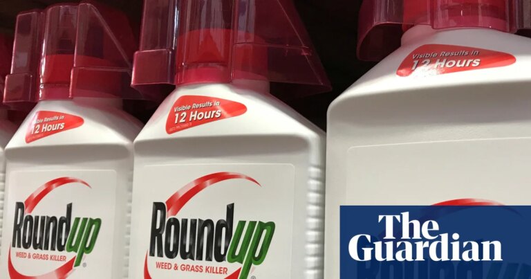 Lawyers for US cancer sufferers challenge Bayer’s $7.25bn Roundup settlement deal | Bayer