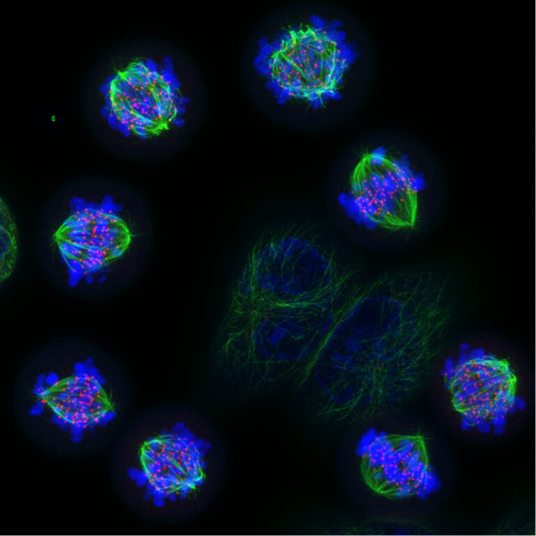 Showcase your science and win! - Cancer Research UK