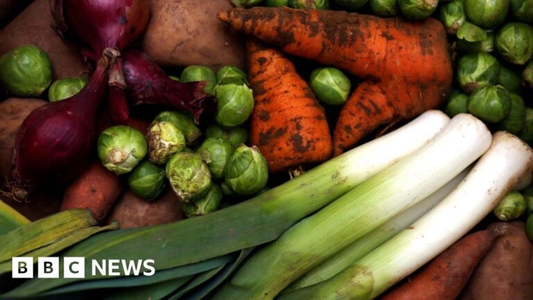 Vegetarian diet lowers risk of cancer, study finds