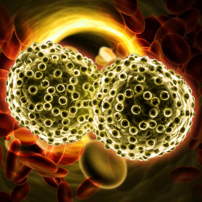 Community Oncology Connections™: Beyond Primary End Points – Digging Into Randomized and Real-World Data to Guide Challenging Treatment Decisions in HR+/HER2− Metastatic Breast Cancer