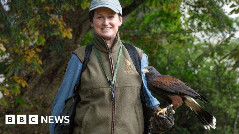 Anglesey woman credits pet hawk with helping cancer recovery