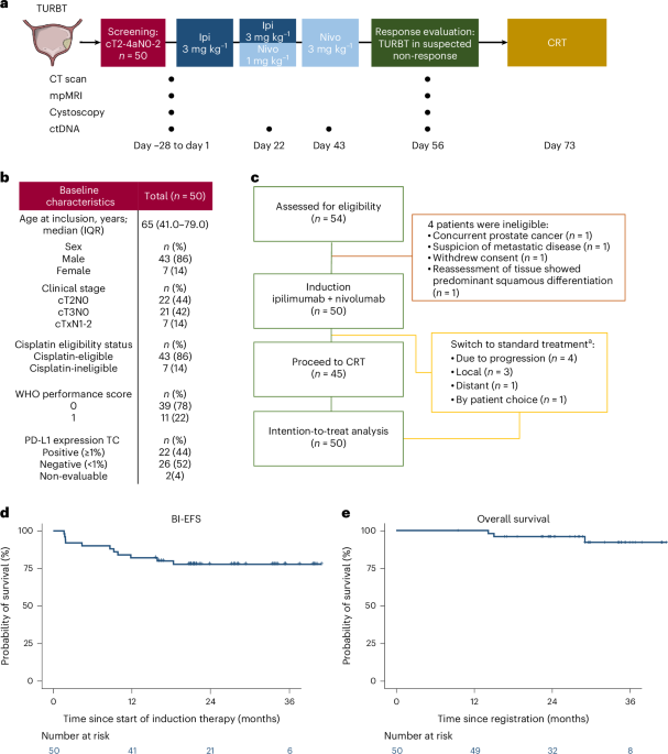 Ipilimumab and nivolumab followed by chemoradiotherapy as bladder-sparing treatment in muscle-invasive bladder cancer: a phase 2 trial Ipilimumab and nivolumab followed by chemoradiotherapy as bladder-sparing treatment in muscle-invasive bladder cancer: a phase 2 trial