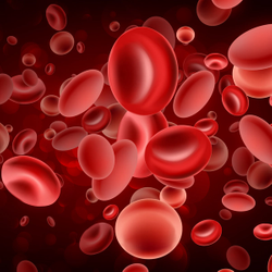Mezigdomide Regimen Boosts PFS in Relapsed/Refractory Multiple Myeloma scout