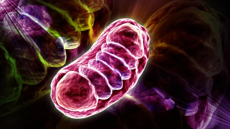 Scientists solve the mystery of a vitamin B5 molecule that powers your cells Scientists solve the mystery of a vitamin B5 molecule that powers your cells