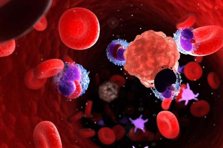 Thymus Gland Health May Be Key to Long Life and Fighting Cancer