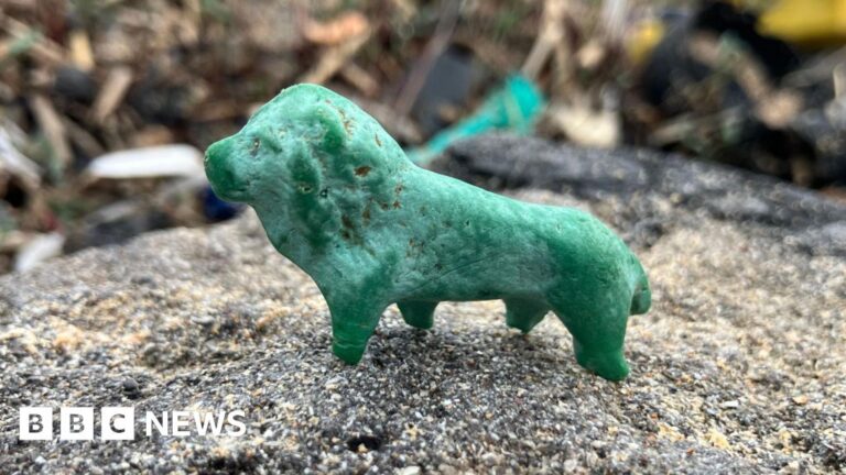 Weekly round-up: Stories you may have missed