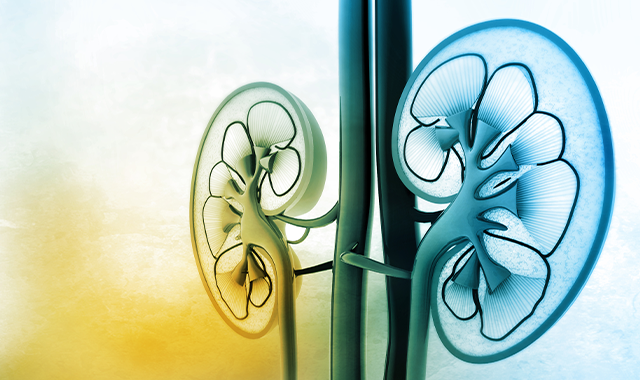 What Were the Top 2026 ACSO Genitourinary Symposium Abstracts? scout