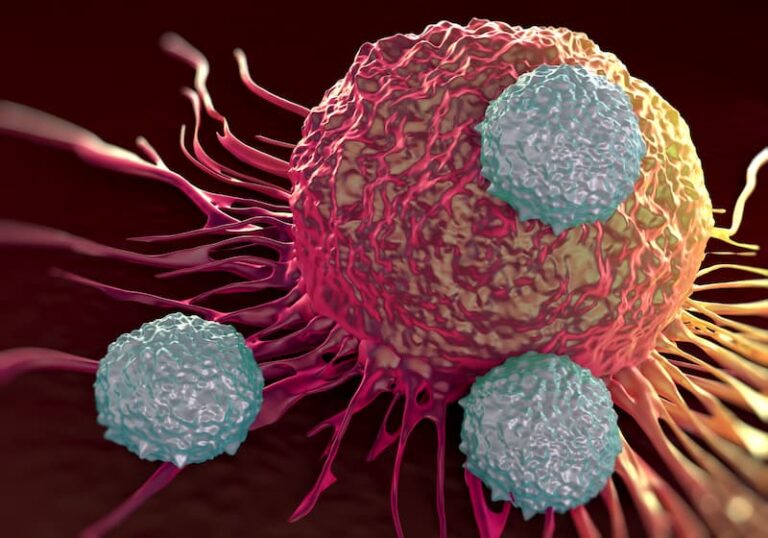A Brief History of Major Events in Oncology The safety profile of zocilurtatug pelitecan among patients with extrapulmonary neuroendocrine carcinomas was consistent with prior reports in SCLC.