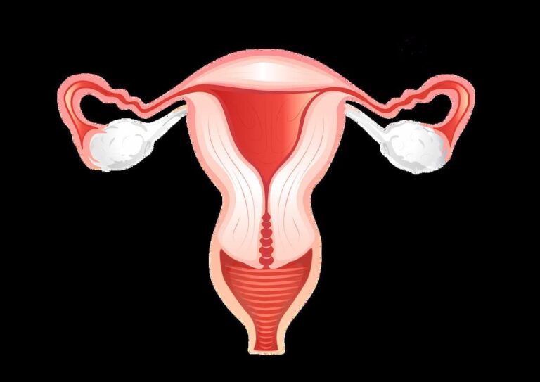 CTIM-76 Receives FDA Fast Track Status in Platinum-Resistant Ovarian Cancer Addressing Unmet Needs in HER2+ Metastatic BTC