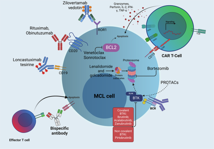 Evolving therapeutic strategies in mantle cell lymphoma: advancements and future directions Evolving therapeutic strategies in mantle cell lymphoma: advancements and future directions