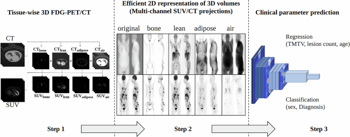 Interpretable predictions from whole-body FDG-PET/CT using parameters associated with clinical outcome Interpretable predictions from whole-body FDG-PET/CT using parameters associated with clinical outcome