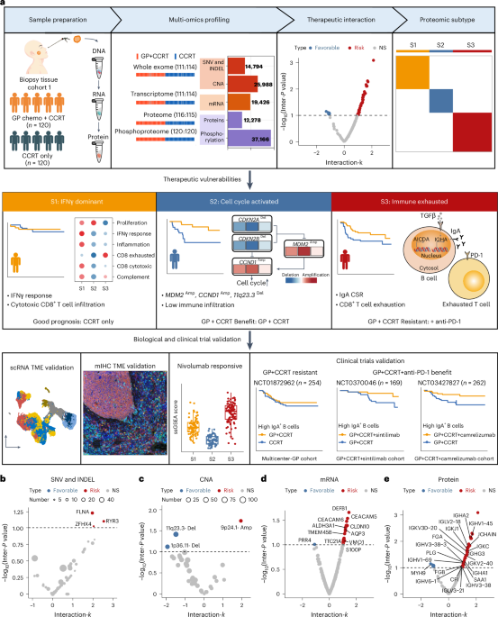 Multi-omic characterization of nasopharyngeal carcinoma delineates the subtype-specific landscape of response to induction chemotherapy Multi-omic characterization of nasopharyngeal carcinoma delineates the subtype-specific landscape of response to induction chemotherapy