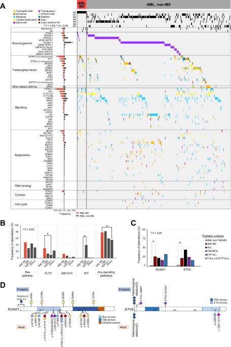 Multi-omics analysis of pediatric minimally differentiated acute myeloid leukemia reveals RUNX1-driven stemness and chemoresistance Multi-omics analysis of pediatric minimally differentiated acute myeloid leukemia reveals RUNX1-driven stemness and chemoresistance