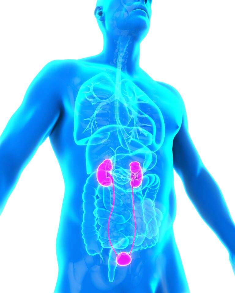Addressing Unmet Needs in HER2+ Metastatic BTC