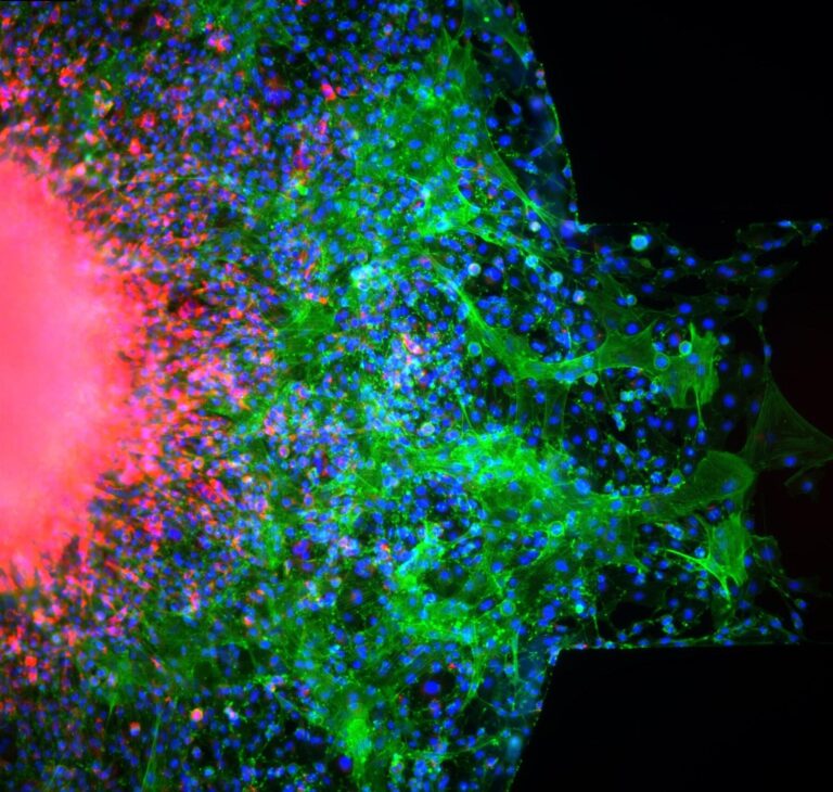 Research is Beautiful – the best of the rest