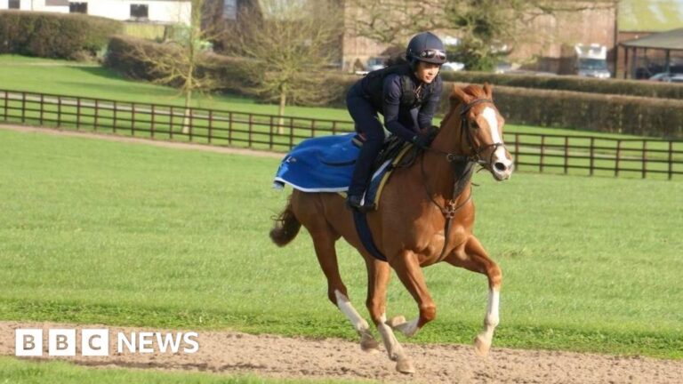 TV star to compete in charity horse race