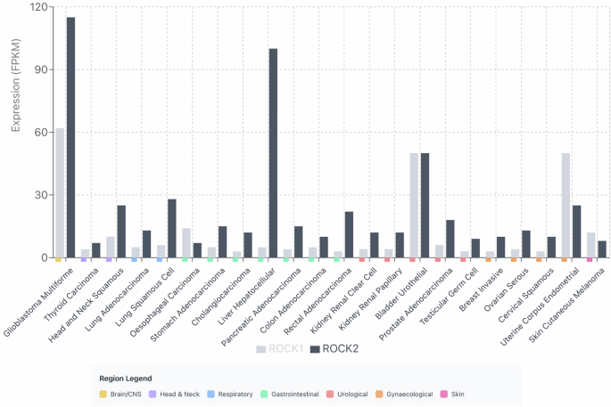 The role of Rho-associated coiled-coil kinases (ROCK) in cancer The role of Rho-associated coiled-coil kinases (ROCK) in cancer
