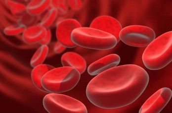 Daratumumab Combo Exhibits Sustained Efficacy in Transplant-Ineligible NDMM Addressing Unmet Needs in HER2+ Metastatic BTC