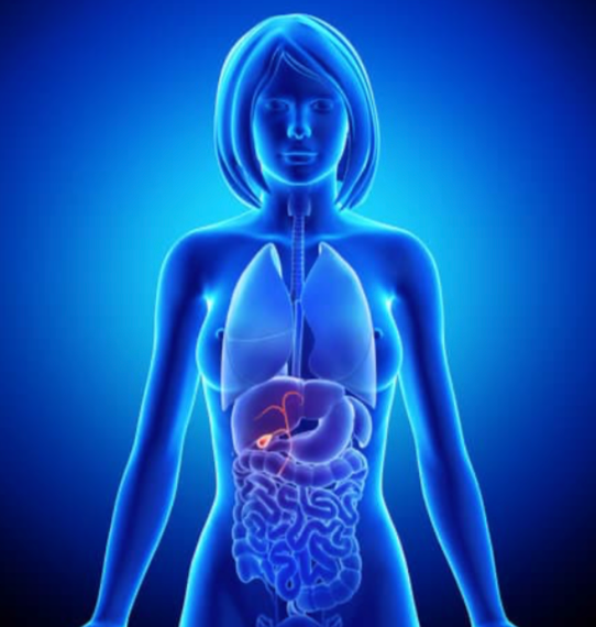 Tovecimig/Paclitaxel Meets PFS, Misses OS End Points in 2L Biliary Tract Cancer Scout AI