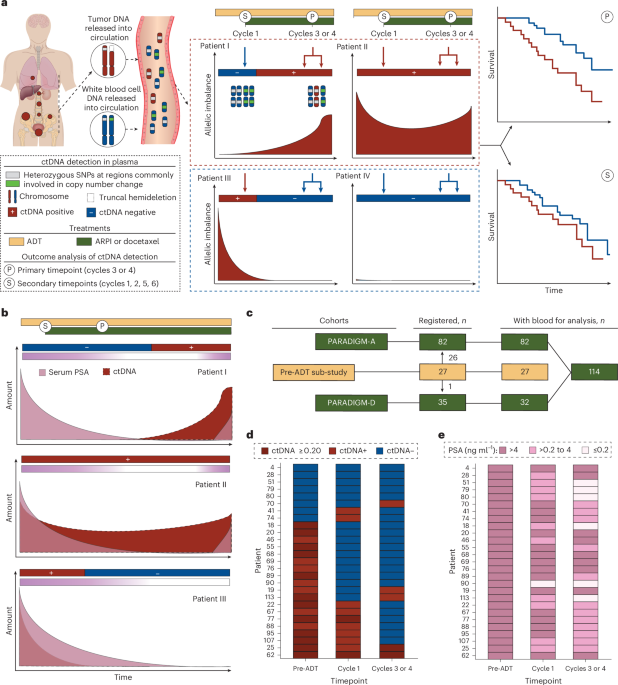 Combined ctDNA and serum PSA for dynamic monitoring of metastatic prostate cancer starting first-line treatment: a prospective national cohort study Combined ctDNA and serum PSA for dynamic monitoring of metastatic prostate cancer starting first-line treatment: a prospective national cohort study