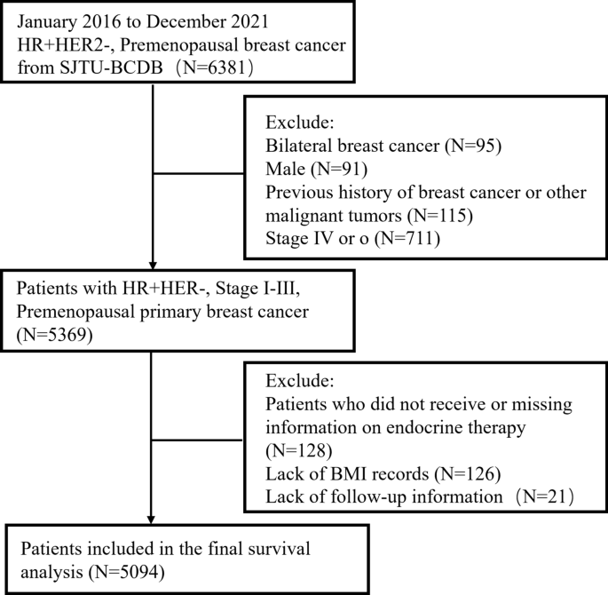 Effect of obesity and endocrine therapy on the prognosis of premenopausal women with HR+HER2-breast cancer: a multi-center retrospective study Effect of obesity and endocrine therapy on the prognosis of premenopausal women with HR+HER2-breast cancer: a multi-center retrospective study