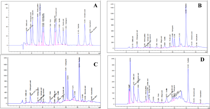 Molecular docking of polyphenols and screening of antioxidant and anticancer activity of Artemisia monosperma leaf extracts in human cancer cells Molecular docking of polyphenols and screening of antioxidant and anticancer activity of Artemisia monosperma leaf extracts in human cancer cells