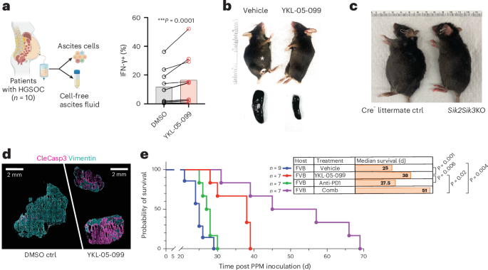 Salt-inducible kinases as druggable targets for immunotherapy of ovarian cancer Salt-inducible kinases as druggable targets for immunotherapy of ovarian cancer