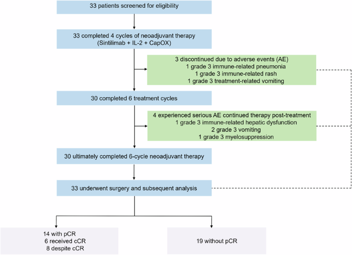 Total neoadjuvant chemotherapy combined with PD‑1 blockade and IL‑2 in ...