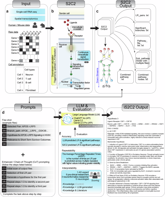 iS2C2: a cointelligent platform for mechanistic discovery of disease cellular crosstalk iS2C2: a cointelligent platform for mechanistic discovery of disease cellular crosstalk