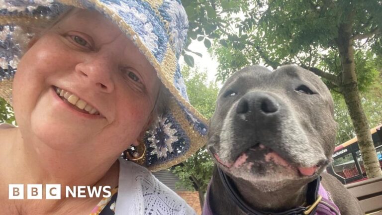 'My dog Gertie saved my life by helping to find my breast cancer'