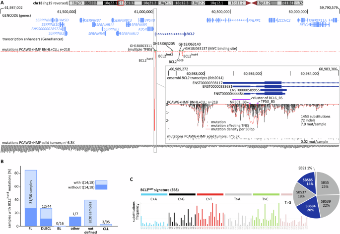 BCL2 promoter region mutations are an independent marker of BCL2 level in lymphoid malignancies BCL2 promoter region mutations are an independent marker of BCL2 level in lymphoid malignancies