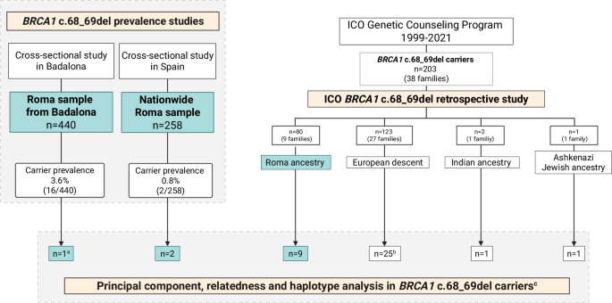 BRCA1 c.68_69del as a founder variant in the Spanish Roma: prevalence and screening implications BRCA1 c.68_69del as a founder variant in the Spanish Roma: prevalence and screening implications