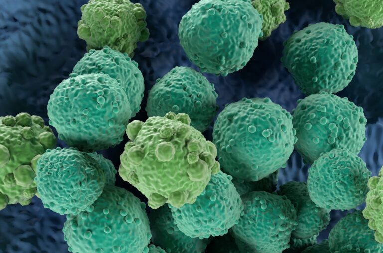 Fixed-Duration Epcoritamab Combo Shows Superiority in Follicular Lymphoma Red blood cells with cancer cells
