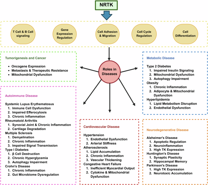 Non-receptor tyrosine kinase signaling pathways and therapeutic implications Non-receptor tyrosine kinase signaling pathways and therapeutic implications