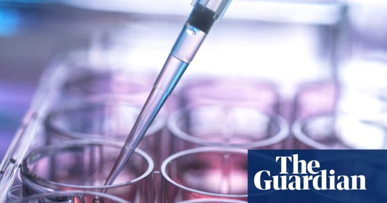 UK’s stem cell transplant system may be putting lives at risk, report by MPs finds | Stem cells
