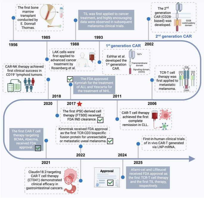 Advances and prospects in cell therapy for cancer: explorations from T cells to stem cells Advances and prospects in cell therapy for cancer: explorations from T cells to stem cells