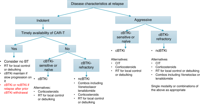 Cellular therapy in mantle cell lymphoma: recommendations from the EBMT practice harmonisation and guidelines committee Cellular therapy in mantle cell lymphoma: recommendations from the EBMT practice harmonisation and guidelines committee
