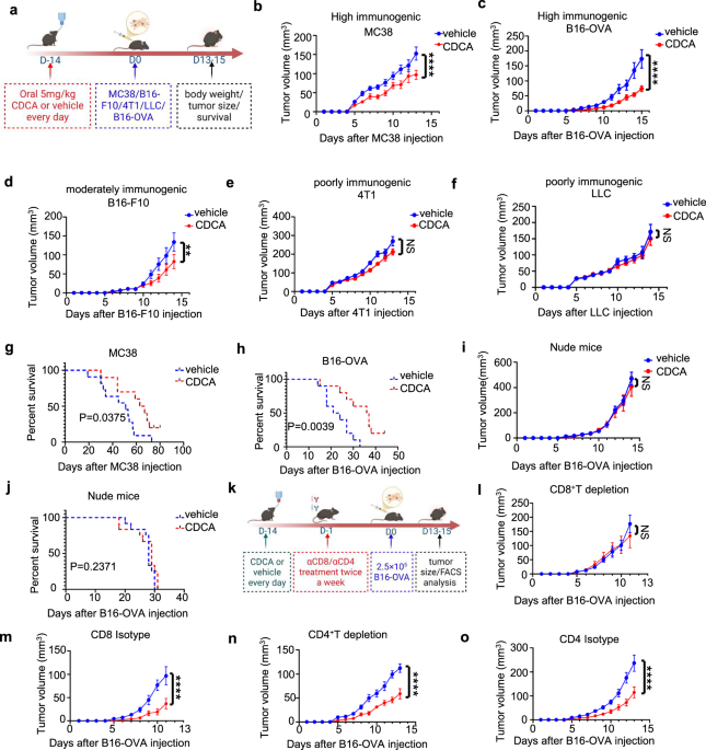 Chenodeoxycholic acid restrains tumor growth via TGR5-dependent type 1 dendritic cells cross-priming Chenodeoxycholic acid restrains tumor growth via TGR5-dependent type 1 dendritic cells cross-priming