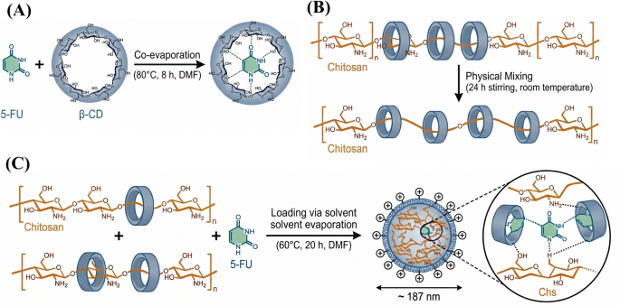 Chitosan/β-cyclodextrin nanocarriers enhance 5-fluorouracil efficacy against colorectal cancer via pH-responsive release and apoptosis modulation Chitosan/β-cyclodextrin nanocarriers enhance 5-fluorouracil efficacy against colorectal cancer via pH-responsive release and apoptosis modulation