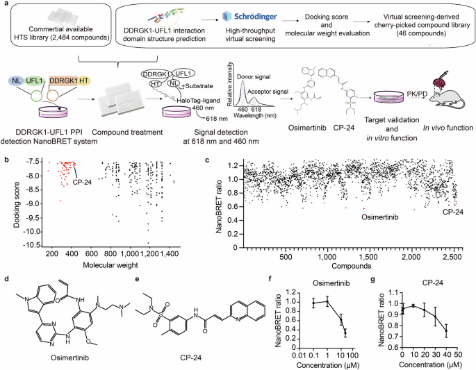 Dual-targeting pharmacological UFMylation inhibition reprograms tumor and immune microenvironments to achieve long-term glioblastoma regression Dual-targeting pharmacological UFMylation inhibition reprograms tumor and immune microenvironments to achieve long-term glioblastoma regression
