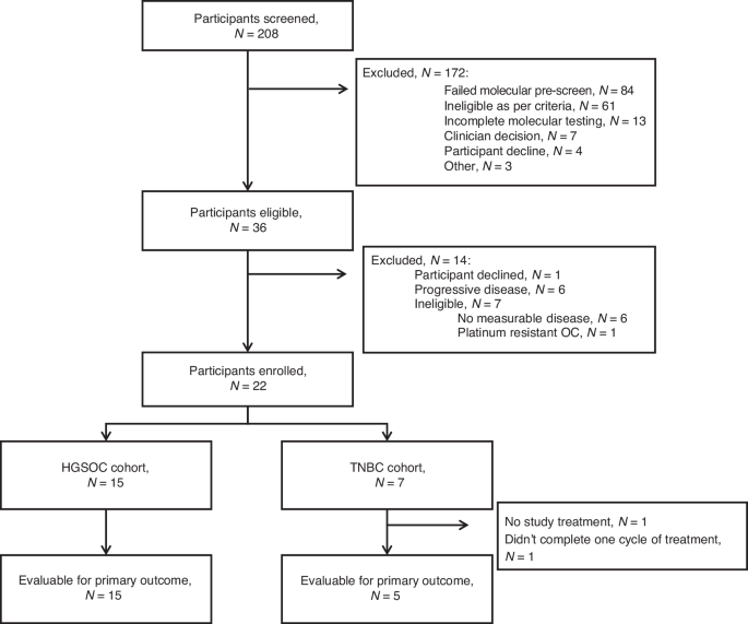 Olaparib in HR-deficient, metastatic triple-negative breast and platinum-sensitive relapsed ovarian cancers without germline mutations in BRCA1/2: phase 2 EMBRACE trial Olaparib in HR-deficient, metastatic triple-negative breast and platinum-sensitive relapsed ovarian cancers without germline mutations in BRCA1/2: phase 2 EMBRACE trial