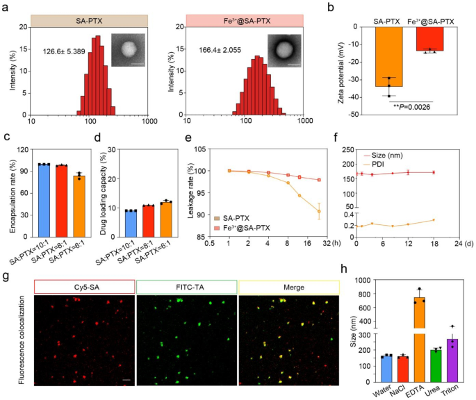 Protein corona guided albumin-binding paclitaxel nanoparticles for treatment of intracranial tumors Protein corona guided albumin-binding paclitaxel nanoparticles for treatment of intracranial tumors