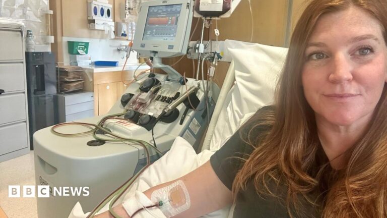 Somerset stem cell donor urges others to sign up after dad’s diagnosis A woman with auburn hair sitting in a hospital bed. She has a needle in her right arm, which is pumping blood with the help of a large grey machine. Photo is a selfie.