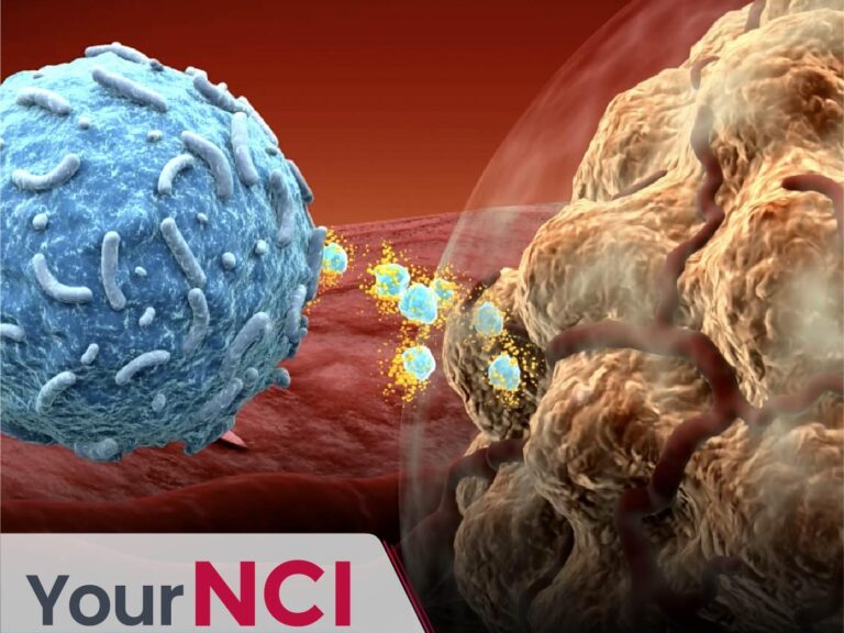 The Story of Immune Checkpoint Inhibitors and Immunotherapy The Story of Immune Checkpoint Inhibitors and Immunotherapy