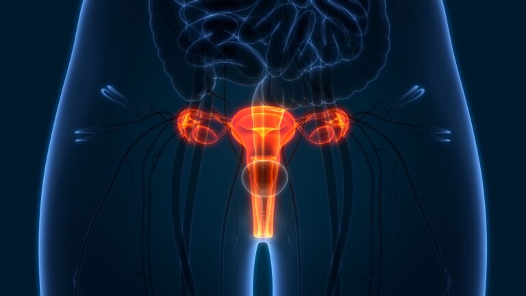 BI-1808 Earns FDA Fast Track Status for Advanced Ovarian Cancer BI-1808 Earns FDA Fast Track Status for Advanced Ovarian Cancer