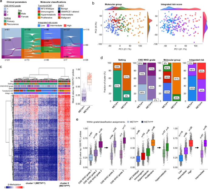 DNA methylation profiling identifies long-range epigenetic silencing of clustered protocadherins as a key determinant of meningioma progression DNA methylation profiling identifies long-range epigenetic silencing of clustered protocadherins as a key determinant of meningioma progression