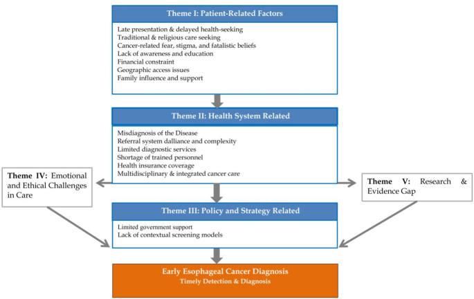 Early esophageal cancer diagnosis in Central Oromia, Ethiopia: patient and provider perspectives on barriers and facilitators Early esophageal cancer diagnosis in Central Oromia, Ethiopia: patient and provider perspectives on barriers and facilitators